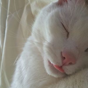 Meet your Posher, Leslie